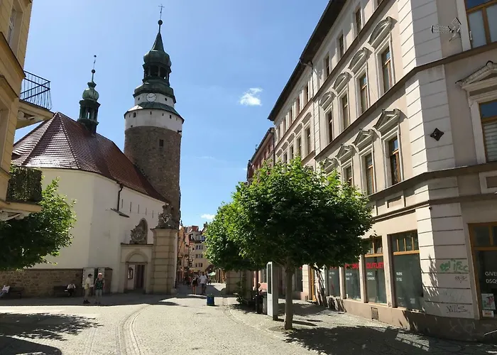 „green Wall” Apartment